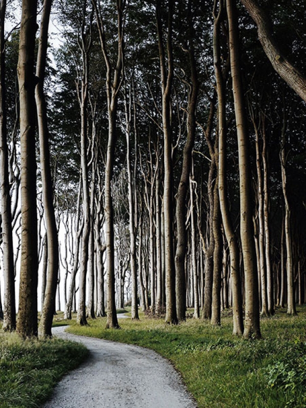 How To Create A Career Transition Roadmap Using Spiritual Principles