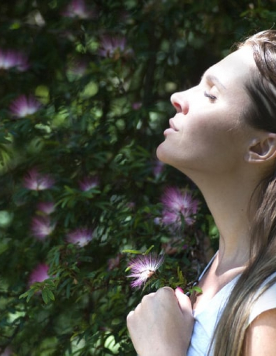 6 Tips for Finding Your Peace of Mind