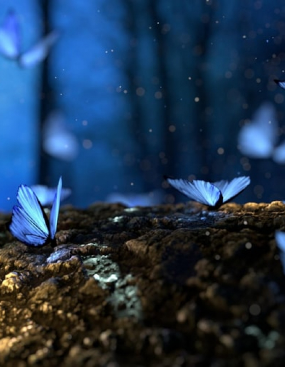 How to Find Meaning in Your Life: 5 Simple Tips