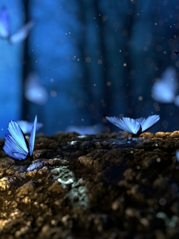 How to Find Meaning in Your Life: 5 Simple Tips