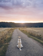 How to Stay Grounded Through Modern Struggles